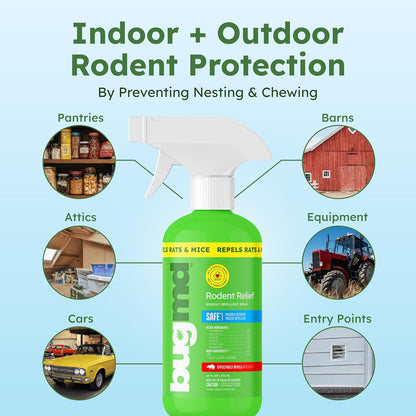 BugMD Peppermint Oil Spray for Rodents - 16oz Mouse Repellent & Rodent Repellent Spray, Natural Mice Repellent with Cinnamon, Clove, and Rosemary Oils - Safe Indoor & Outdoor Use