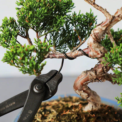 Wazakura 150 gr Black Anodized Aluminum Bonsai Training Wire Made in Japan (5mm, Black)