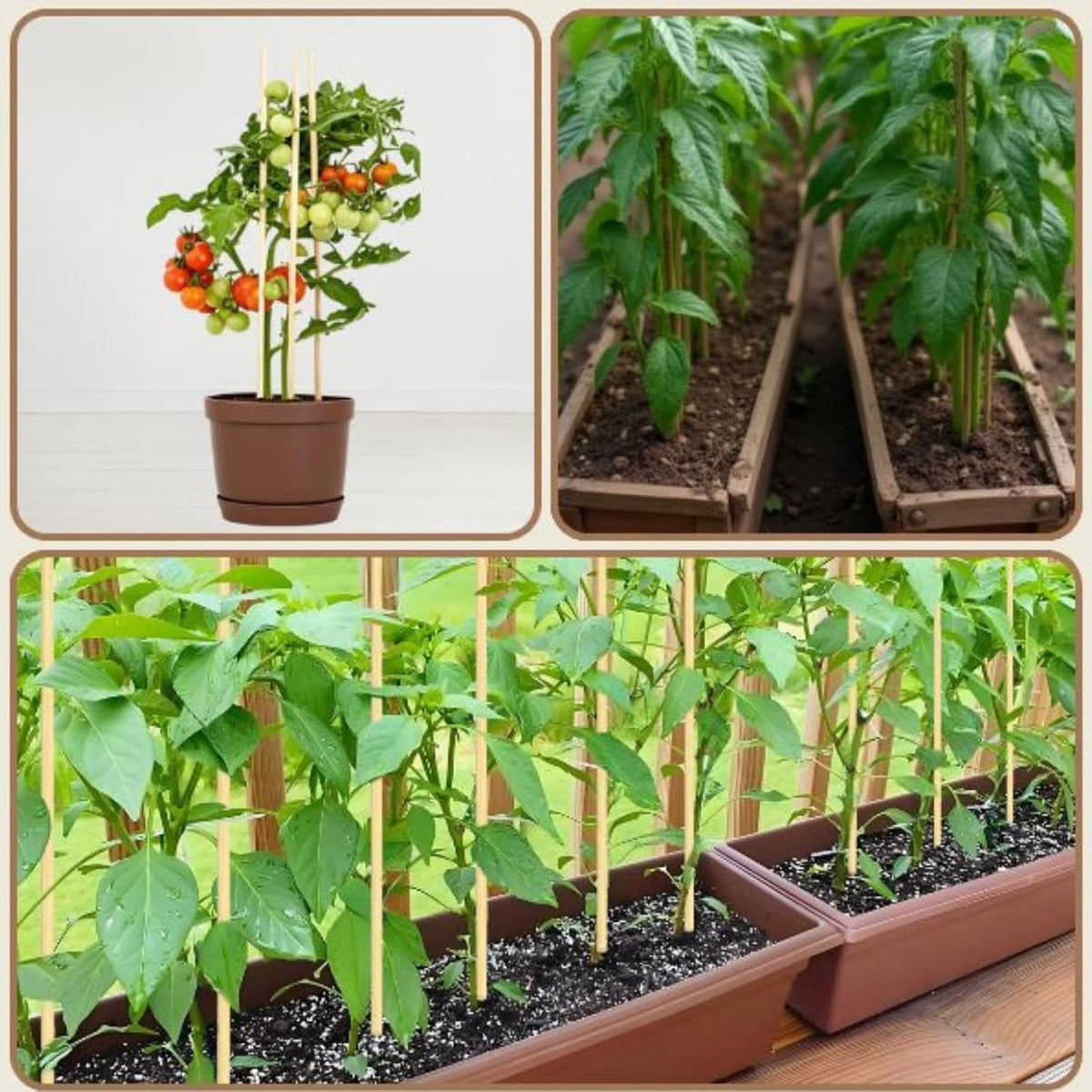 125 PCS 17.5 inch Bamboo Plant Stakes – Extra Thick 6.3mm Bamboo Sticks for Indoor & Outdoor Plants – Garden Stakes & Plant Support Stakes for Tomato, Flowers, Potted Plants & More – VESYMAN