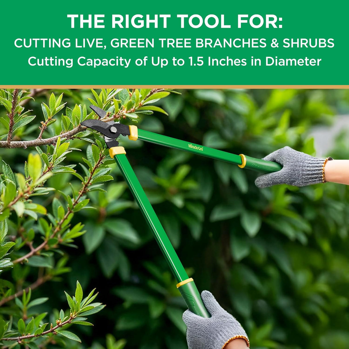Miracle-Gro 24 in. Bypass Lopper for Tree Branch Trimming and Pruning – Heavy-Duty Branch Cutter with Ultra-Sharp Carbon Steel Blade, 1.5 in. Cutting Capacity and Comfort Grip Handles