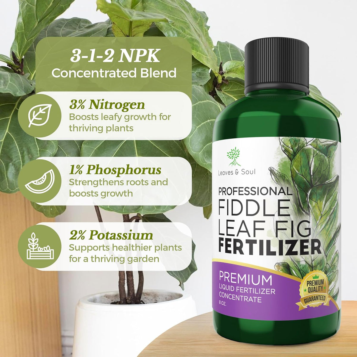 Leaves and Soul Professional Liquid Fiddle Leaf Fig Plant Fertilizer | 3-1-2 Concentrate for House Plants | 8 oz Bottle