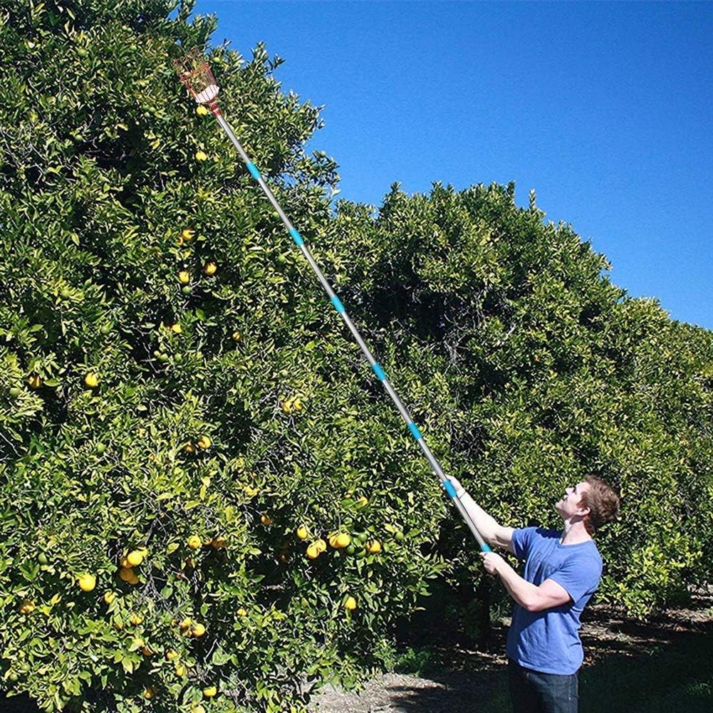 COCONUT Fruit Picker Tool, 5FT Fruit Picker with Basket Adjustable Long Handle, Easy to Assemble & Use Fruits Catcher Tree Picker for Getting Fruits - Ideal for Low & Medium Height Fruit Harvesting