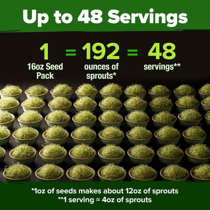 HOME GROWN 𝗨𝗦𝗔 𝗣𝗥𝗘𝗠𝗜𝗨𝗠 Alfalfa Sprout Seeds 16oz Bulk Pack with Thousands of Seeds 𝗡𝗢𝗡-𝗚𝗠𝗢 Alfalfa for Sprouting & Microgreens Indoor Outdoor Growing Resealable Bag High Germination