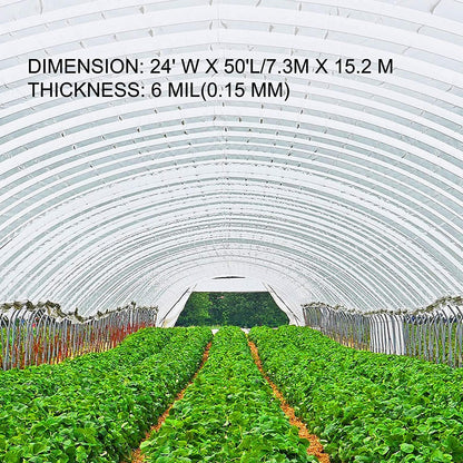 VEVOR Greenhouse Plastic Sheeting 24 x 50 ft, 6 Mil Thickness UV Resistant Clear Polyethylene Film, Hoop Green House Cover for Farms, Agriculture, Garden