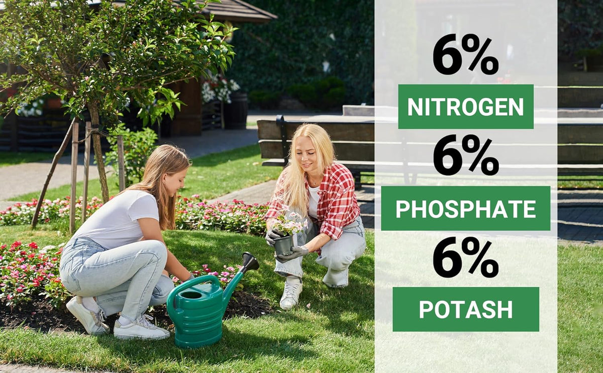 6-6-6 All-Purpose Professional Plant Food Fertilizer; Ideal for Winter Care & Spring Feeding, Perfect Balanced NPK for Indoor and Outdoor Plants (4 QUARTS)