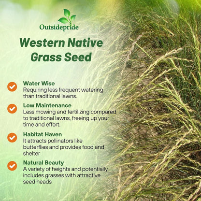 Outsidepride Western Native Grass Seed Mix - 1 lb. Perennial Blend of Warm & Cool Season, Drought Tolerant Grass Seed for Natural Landscaping w/Wildflower, Soil Health Improvement & Erosion Control