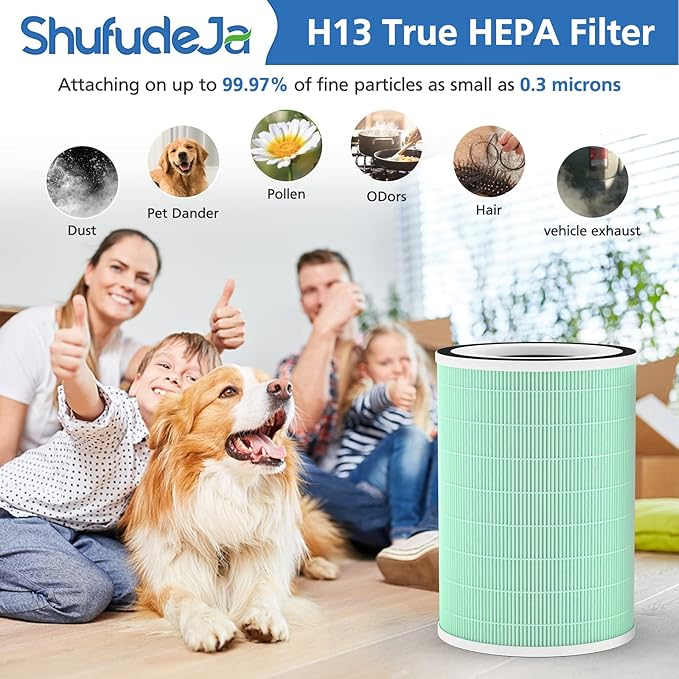 2 Pack True HEPA Filter, 4 in 1 Pet Replacement Filter, 360 4-Stage Filtration, Compatible With Afloia KILO, KILOPLUS, KILOPRO, MIRO, MIRO PRO, MORENTO MR-Kilo, Kalo Air Purifier, Green