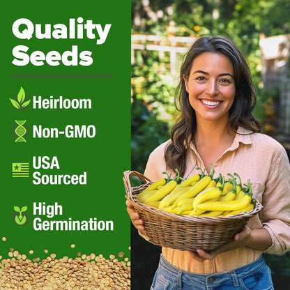 HOME GROWN 𝗨𝗦𝗔 𝗣𝗥𝗘𝗠𝗜𝗨𝗠 Banana Pepper Seeds Pack – 94 𝗡𝗢𝗡-𝗚𝗠𝗢 Heirloom Vegetable Seeds – High Germination Sweet Peppers for Planting Indoors or Outdoor Garden (Capsicum annuum) (1pack)