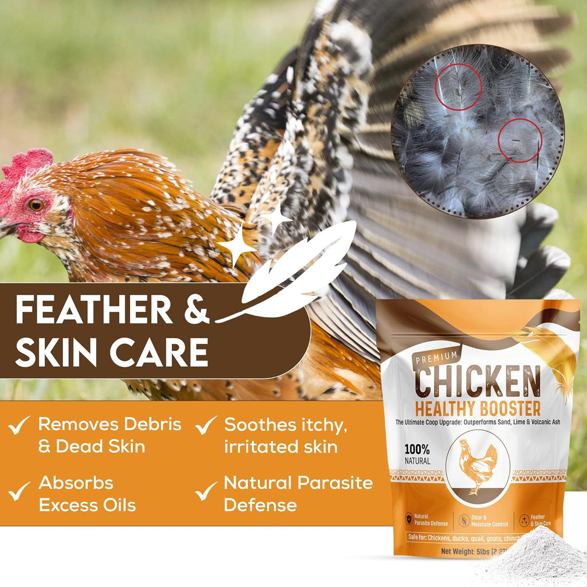 Chicken Dust Bath Sand Mix – Natural Poultry Dust for Feather & Skin Care | Diatomaceous Earth Blend | Coop Cleaner & Odor Control | Safe for Chickens, Ducks, Chinchillas-5 lbs