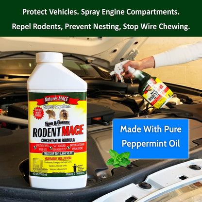 Nature’s MACE Rodent Repellent 5 Gal Concentrate, Covers 10 Acres, Repel Mice & Rats, Keep Mice, Rats & Rodents Out of Home, Garage, Attic, and Crawl Space, Safe to Use Around Children, Pets, & Plants