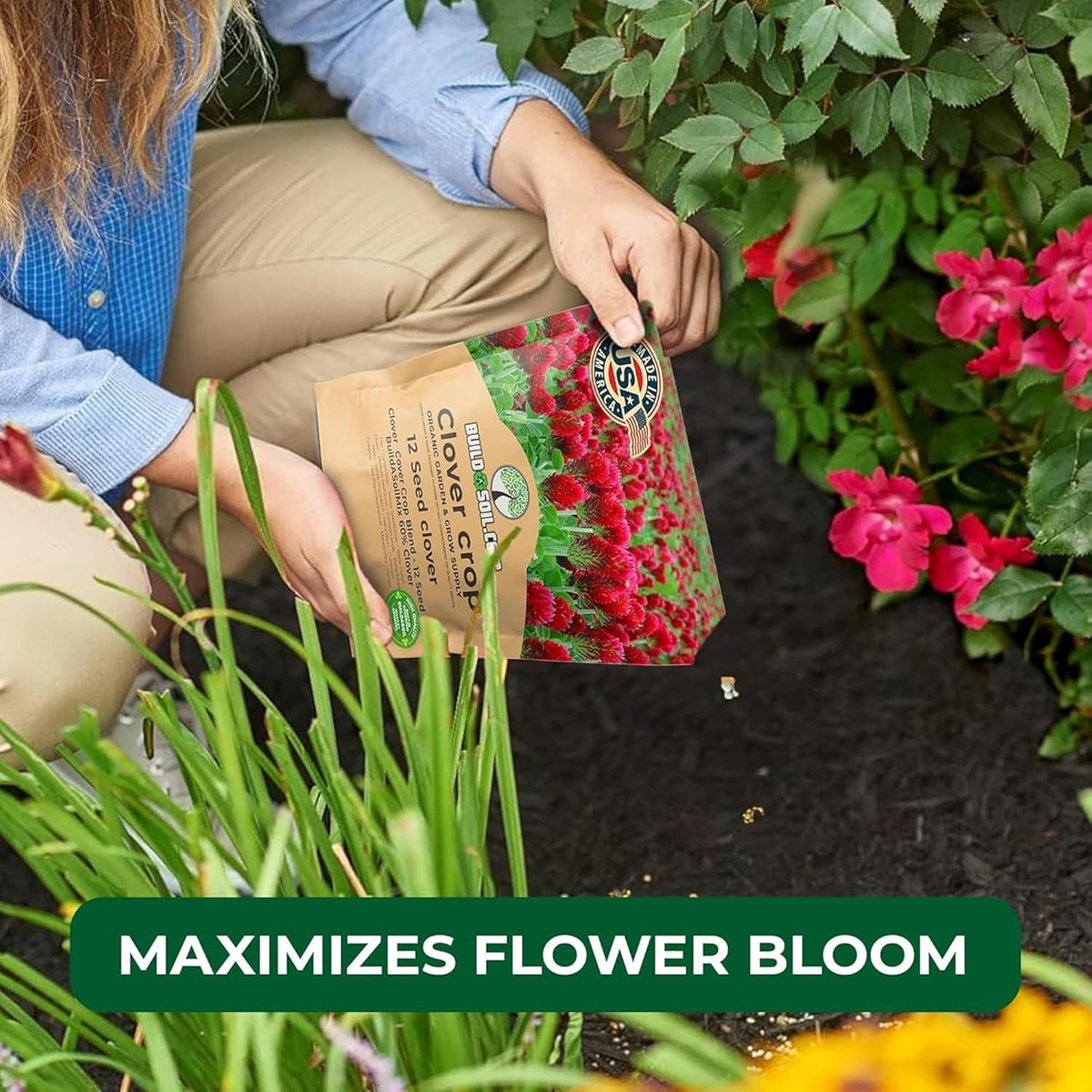 BuildASoil No-Till Clover Seed Cover Crop Blend 12 Species Cover Crop Seed Mix Premium Clover Seeds for Lawn - Plants Friendly Cover Crop for Garden - 60% Clover (3 lb Bag)
