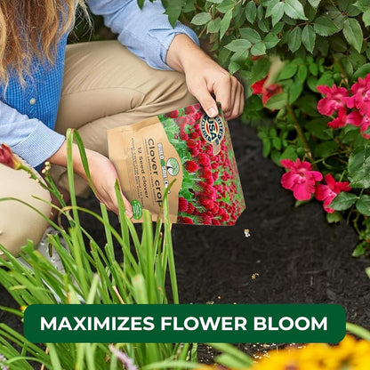 BuildASoil No-Till Clover Seed Cover Crop Blend 12 Species Cover Crop Seed Mix Premium Clover Seeds for Lawn - Plants Friendly Cover Crop for Garden - 60% Clover (3 lb Bag)