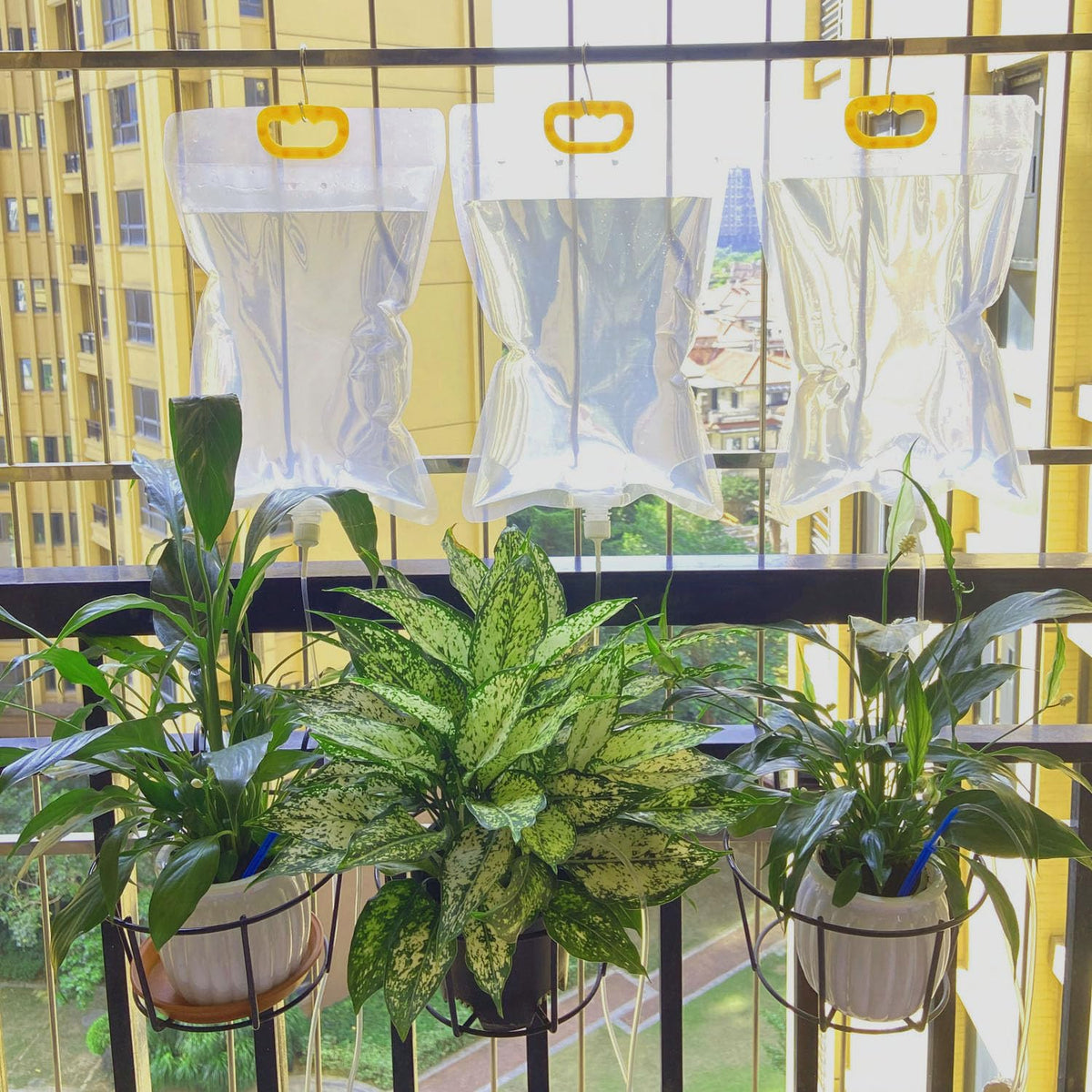 3.5L Plant Self Watering Bags with Adjustable Flow Regulators & Hooks,Automatic Plant Waterer, Plant IV Water Bags, Vacation Plant Watering System for Indoor Plant Life Support, 3Pcs