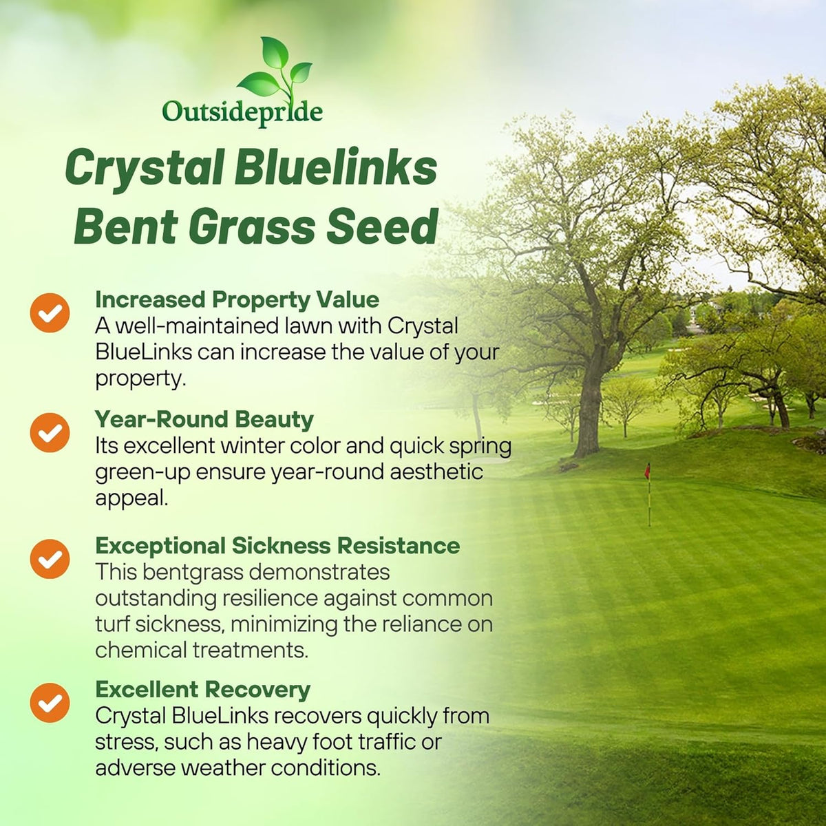 Outsidepride Crystal Bluelinks Creeping Bent Grass Seed - 5 lbs. Dense Turf Grass for Golf Greens & Putting Surfaces, Fine-Textured, Tolerant to Close Mowing for Smooth, Consistent Lawn Coverage