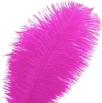 Ballinger Fuchsia Large Ostrich Feathers - 24pcs 10-12inch Craft Feathers Bulk for r Party Centerpieces, Flower Arrangement and Home Decor