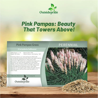 Outsidepride Pink Pampas Grass Seeds – 2,000 Pcs. Perennial, Drought-Tolerant Ornamental Grass for Large Garden Borders, Privacy Landscaping, Xeriscaping, and Low-Maintenance Outdoor Spaces