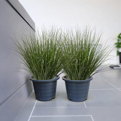 16PCS 17.3" Fake Plants Artificial Wheat Grass Greenery Plastic Plants Fake Grass Artificial Plants for Outdoor Decor Artificial Grass Plant with Greenery Stems for Indoor Home Decoration