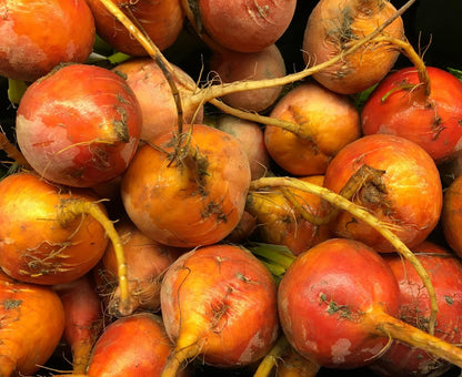 Golden Detroit Beet Seeds for Planting – Plant & Grow Heirloom Golden Detroit Beets in Home Outdoor Vegetable Garden, Beta vulgaris – 1 Packet Approx 50 Seeds