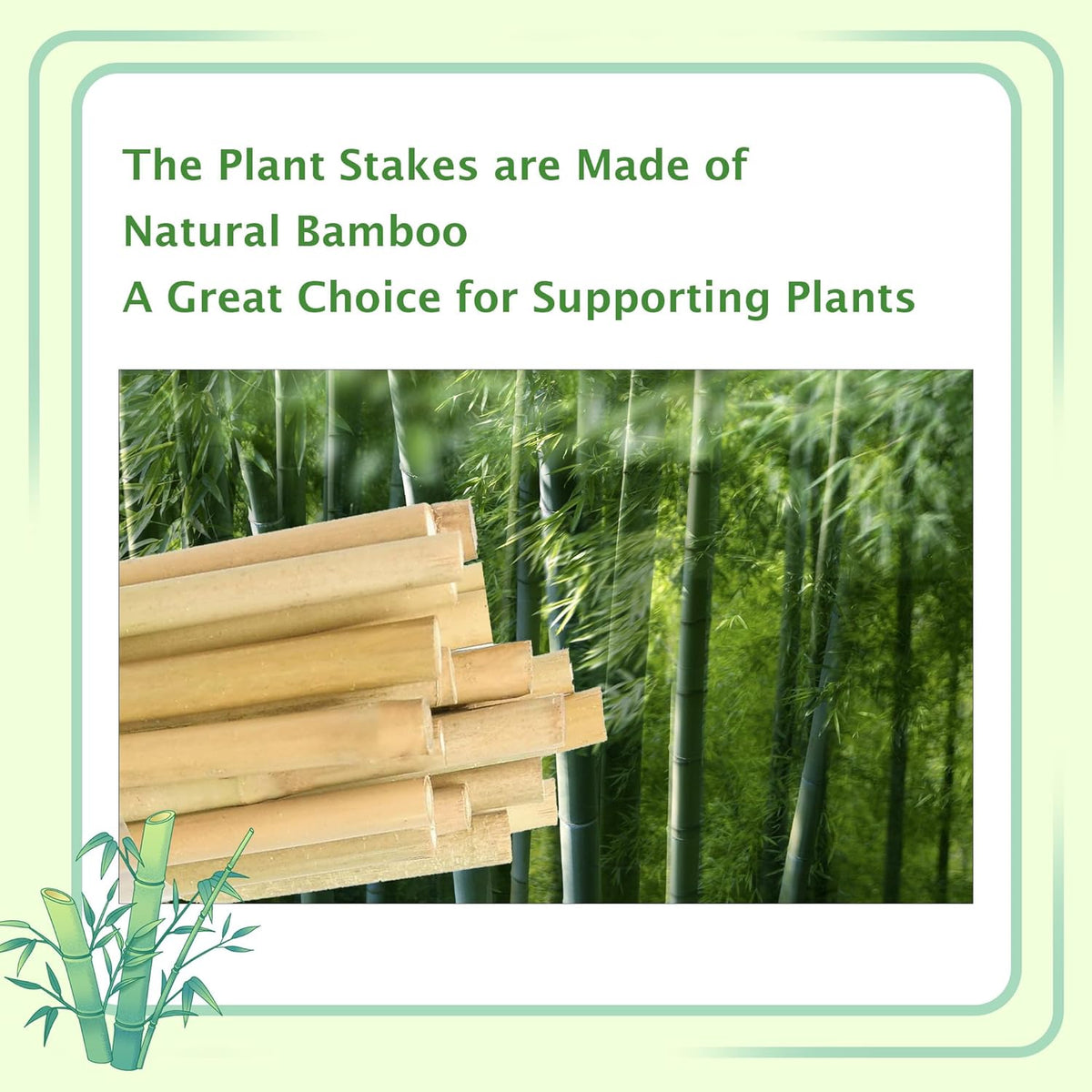 Bamboo Garden Stakes 57 Inch 25pcs, 1/2" Dia Plant Stakes 5ft Approx for Indoor Outdoor Plants, Support Tomato, Cucumber, Beans and More Climbing Plants