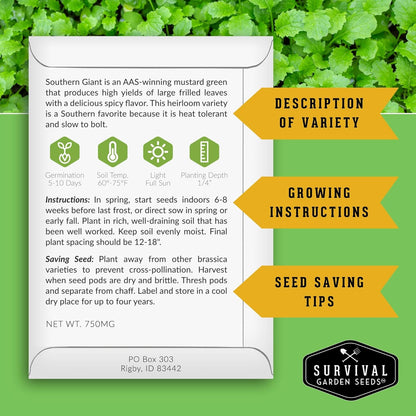 Southern Giant Mustard Green Seeds for Planting – Heirloom Non-GMO Spicy Greens, Heat Tolerant and Slow to Bolt for Home Vegetable Gardens - Survival Garden Seeds (5 Packs)