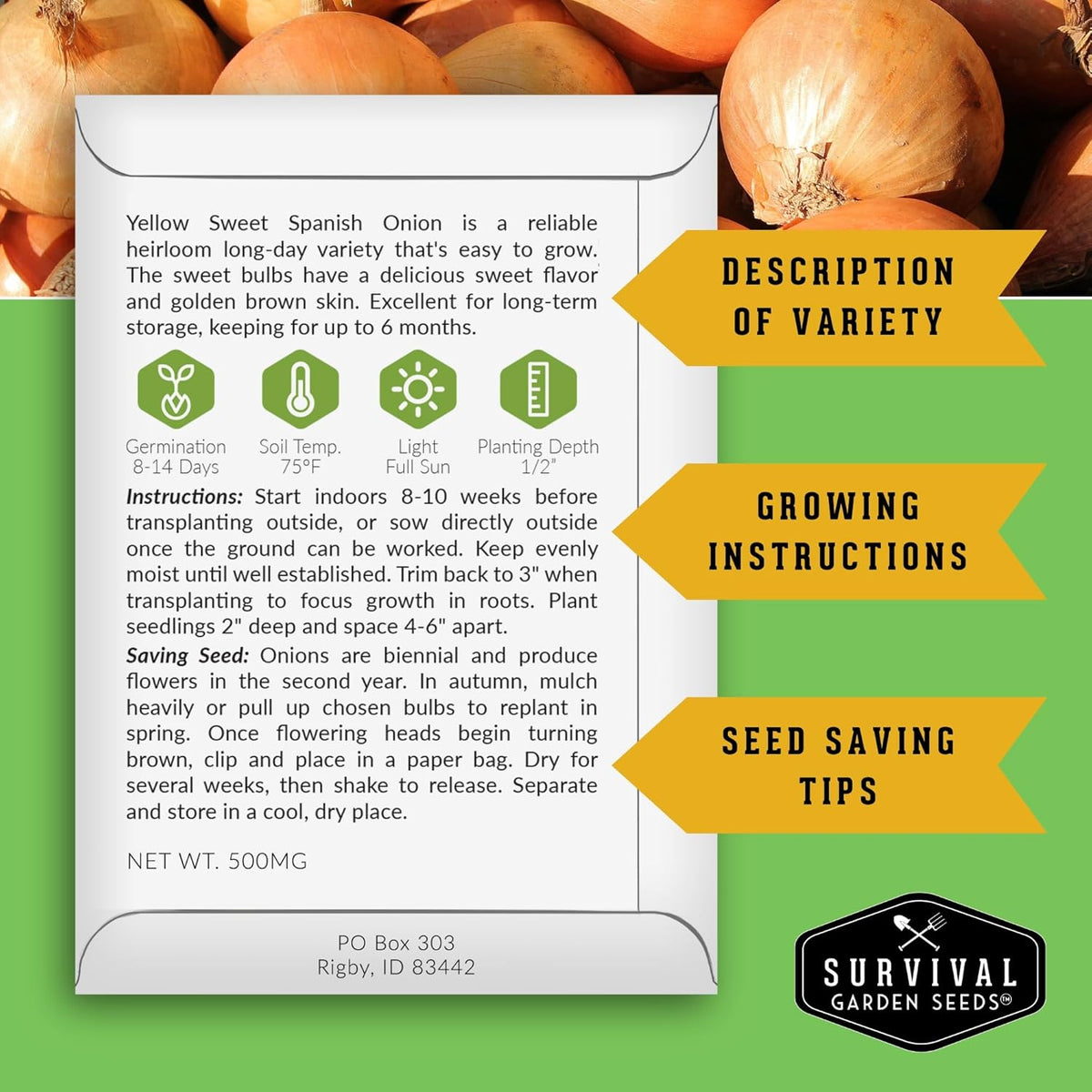 Yellow Sweet Spanish Onion Seed for Planting - 3 Packets with Instructions to Plant and Grow Long Day Onions in Your Home Vegetable Garden - Non-GMO Heirloom Variety - Survival Garden Seeds