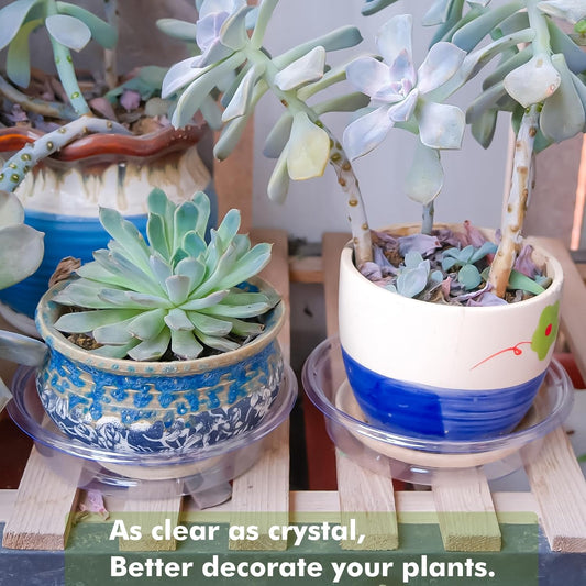 Plant Saucer 30 Pack Plant Trays for Pots 6 Inch Plastic Plant Saucers for Outdoors and Indoors Clear Drip Trays for Potted Plants Flower Pot Plates to Catch Water Plant Drainage Dishes No Holes