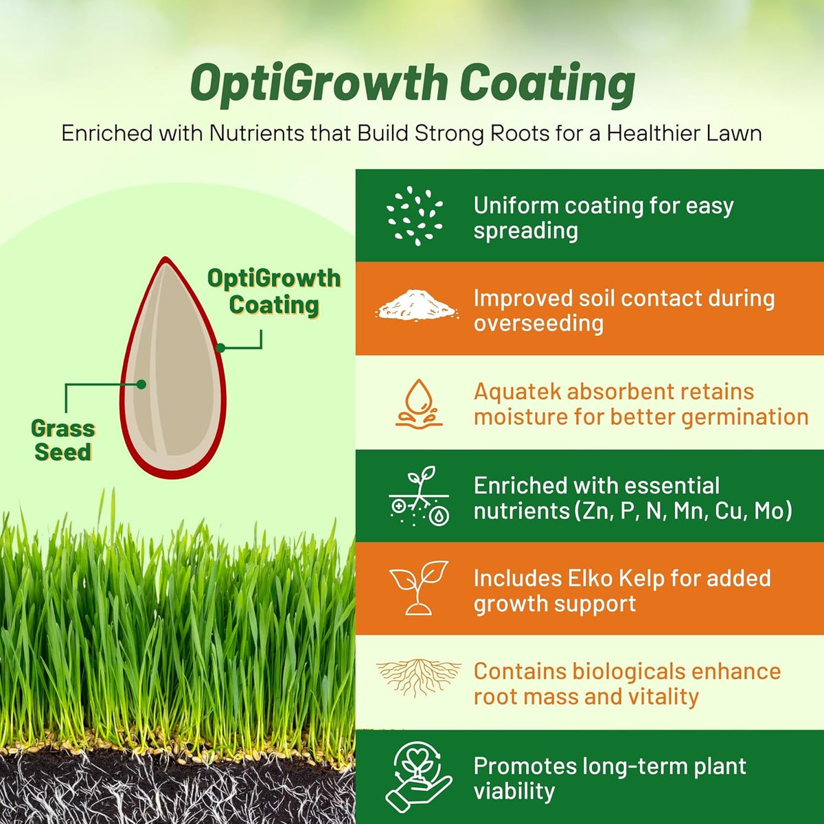Outsidepride Combat Extreme Southern Zone Grass Seeds for Lawn - 25 lbs. SPF 30 Heat & Drought Tolerant Mix of Turf Type Fescue & Hybrid Bluegrass Seed with OptiGrowth Coating Enhanced Germination