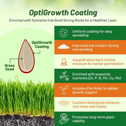 Outsidepride Combat Extreme Southern Zone Grass Seeds for Lawn - 25 lbs. SPF 30 Heat & Drought Tolerant Mix of Turf Type Fescue & Hybrid Bluegrass Seed with OptiGrowth Coating Enhanced Germination