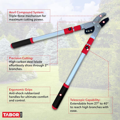 TABOR TOOLS GG22A Telescopic Extendable Anvil Lopper with Compound Action, 27-40 Inch Telescopic Tree Trimmer, Long Handled Branch Cutter with ⌀ 2 Inch Cut Capacity, Chops Thick Branches with Ease.