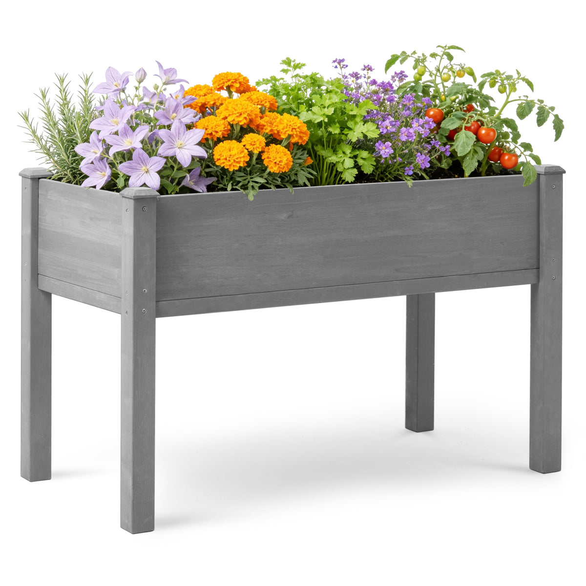 Raised Garden Bed with Legs, 48×24×30 Cedar Wood Elevated Planter Box