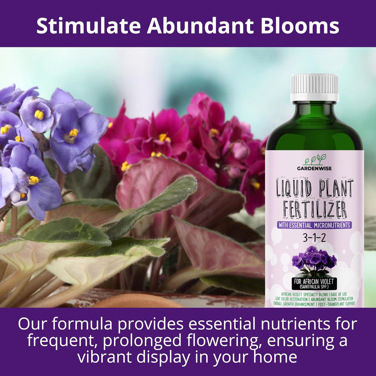 3-1-2 African Violet Fertilizer for Indoor Plants: Liquid Fertilizer with Essential Micronutrients Drops - Plant Food for African Violets (16 OZ)