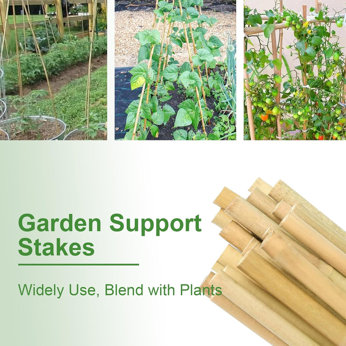 Bamboo Garden Stakes 2ft, 2 Feet Plant Stakes 30 Pack for Outdoor Indoor Plants, Support Tomato, Vegetables Beans, Flowers, Potted and More Climbing Plants