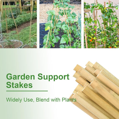 Bamboo Garden Stakes 2ft, 2 Feet Plant Stakes 30 Pack for Outdoor Indoor Plants, Support Tomato, Vegetables Beans, Flowers, Potted and More Climbing Plants
