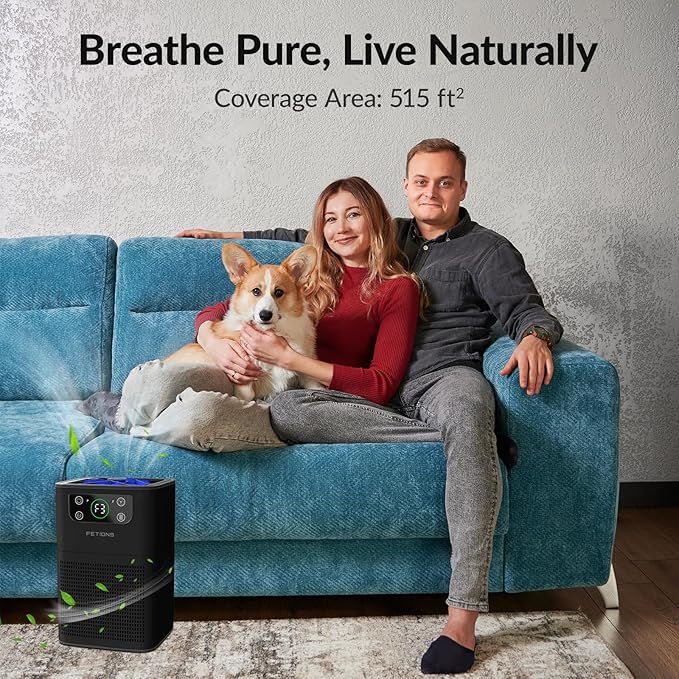 Air Purifiers for Bedroom Home, FETIONS Air Cleaner with Fragrance Sponge Sleep Mode 3-in-1 Filtration System, Compact with H13 HEPA Filter for Pet Dander Pollen Smoke Dust Odor, Black,1 Pack