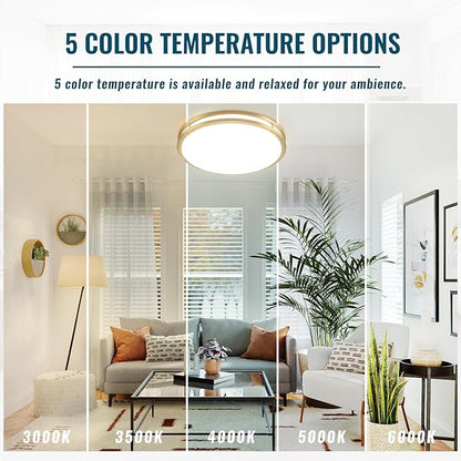 24 inch Gold Ceiling Light Fixture 48W, LED Dimmable Close to Ceiling Light Fixture 5CCT, Modern Flush Mount Ceiling Light for Living Room, Bedroom, Bathroom, Kitchen