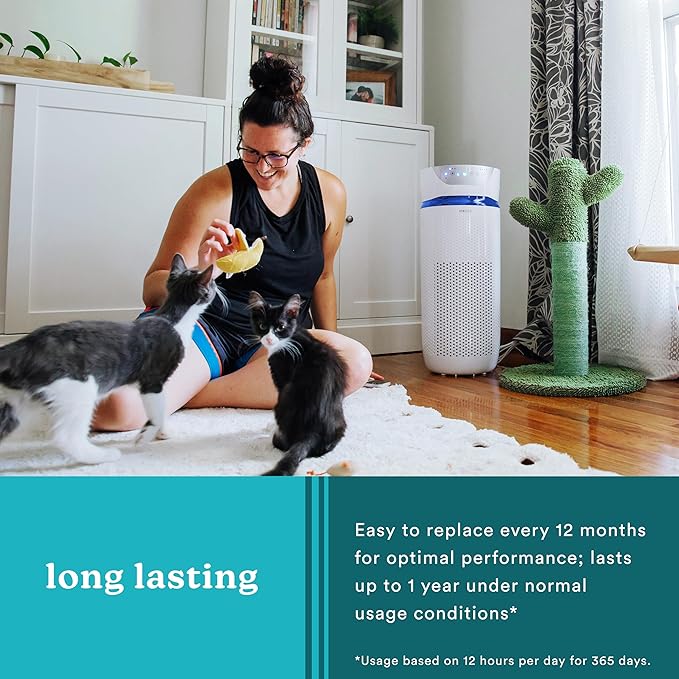 HoMedics TotalClean 3-in-1 True HEPA Filter Replacement for Air Purifier HoMedics AP-T40, AP-T40WT, AP-T43-WT, AP-T45-BK and AP-T45-WT, True HEPA Filter Removes Up to 99.97% of Airborne Particles