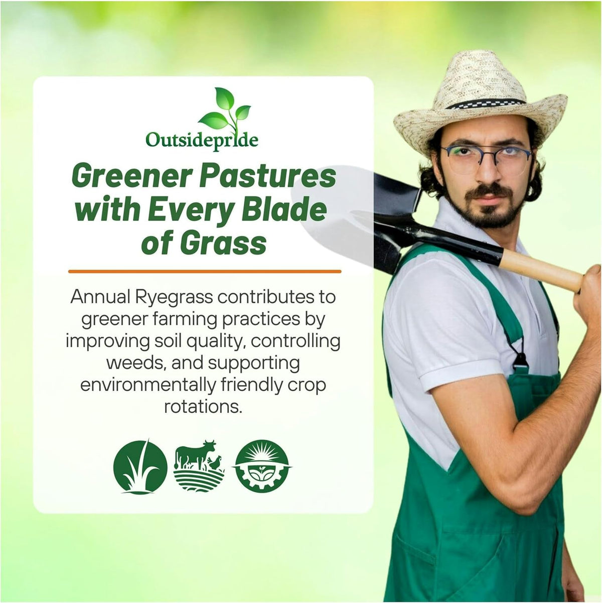 Outsidepride Ryegrass Seeds - 50 lb. Annual, Hardy & Fast-Growing, Cover Crop Seeds for Planting Glossy Dark Green Grass Leaves, Ideal for Hay Foraging, Pasture Grazing & Erosion Control