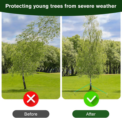 A Tree Support kit for straightening Trees, which Includes Supporting Metal Stakes and Ropes. It can Also be Used for Tree Protection in Harsh Weather and Outdoor Tent Fixation. (2)