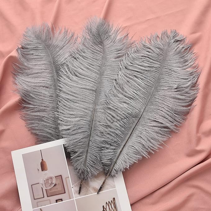 Ballinger Natural Gray Ostrich Feathers - 24pcs 10-12inch for Wedding Party Centerpieces Home Decor