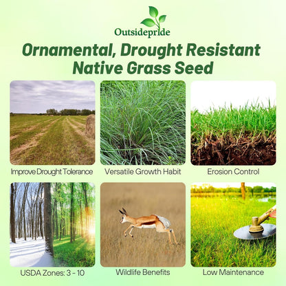 Outsidepride Perennial Little Bluestem Grass Seed - 10 lbs. Warm Season, Drought Resistant, Long-Lived Native Prairie Grass Seed, Ideal for Erosion Control, Ornamental Landscaping & Wildlife Gardens