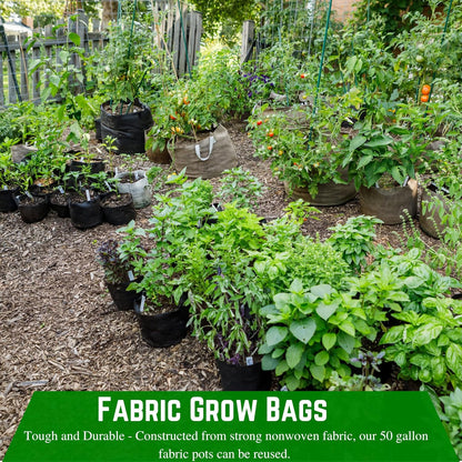 Farm Plastic Supply - 100 Gallon Fabric Grow Bags - (1 Pack) - Nonwoven Fabric Pots with Handles, Grow Bag, Plant Grow Bags, Garden Bag, for Farming, Gardening, Agriculture