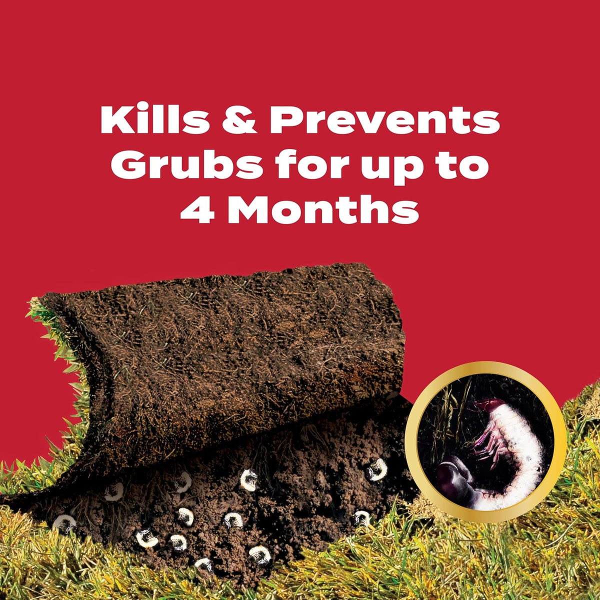 Scotts GrubEx1 Season Long Grub Killer, Protects Lawns Up to 4 Months, 10,000 sq. ft., 28.7 lbs.