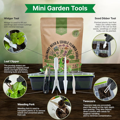 25 Culinary Herbs & Edible Flower Seed Variety Pack for Planting Indoor & Outdoors. 11900+ Non-GMO Heirloom Flower Seeds: Basil, Borage, Echinacea, Lavender, Oregano, Rosemary Seeds & More