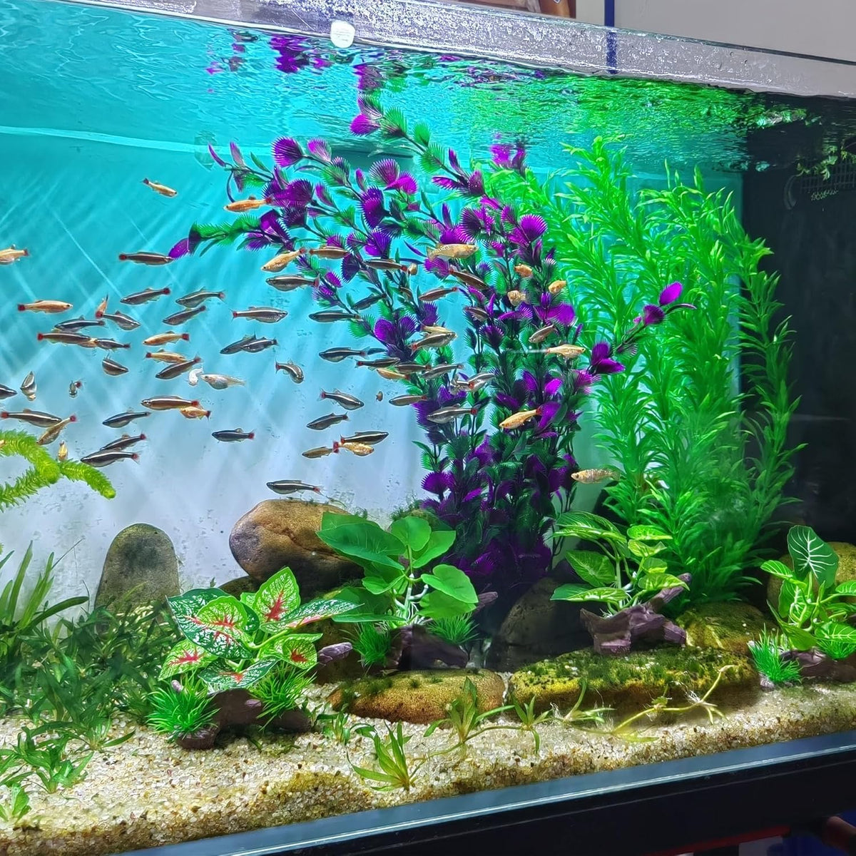 20.47 Inch Tall Aquarium Plants – Large Lifelike Artificial Fish Tank Decorations, 2 Pcs Fish Tank Plants Plastic，Durable & Safe for Freshwater/Saltwater Aquariums (Green (Style D))