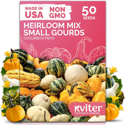 KVITER 50 Small Gourd Seeds Mix (Cucurbita Pepo) – Ornamental Fall Decor Gourds, Non GMO & Organic – Perfect Heirloom Seeds for Planting Decorative Gourds in Vegetable Garden