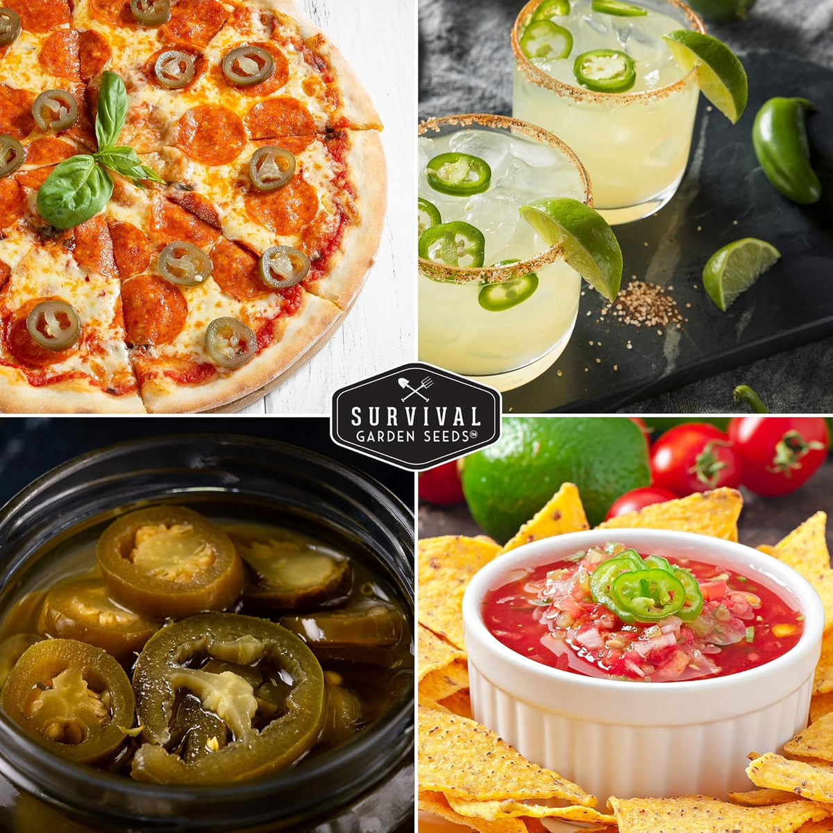 Jalapeño Pepper Seeds for Planting | Hot Heirloom Non-GMO Peppers for Pickling & Salsas – Survival Garden Seeds (2 Packs)