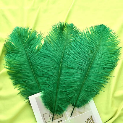 Ballinger Green Ostrich Feathers Bulk - 24pcs 10-12inch Feathers for Vase, Wedding Party Centerpieces Mardi Gras Decorations and Home Decor