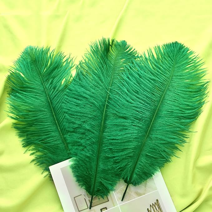 Ballinger Craft Green Ostrich Feathers - 24pcs 8-10inch Feathers for Vase, Wedding Party Centerpieces Mardi Gras Decorations and Home Decor…