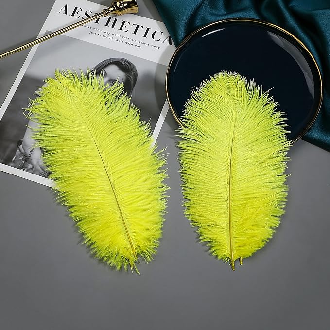 Ballinger Fluorescent Yellow Ostrich Feathers - 24Pcs 8-10inch Feathers Bulk for Vase, Party Centerpieces, Mardi Gras Decorations and Home Decor
