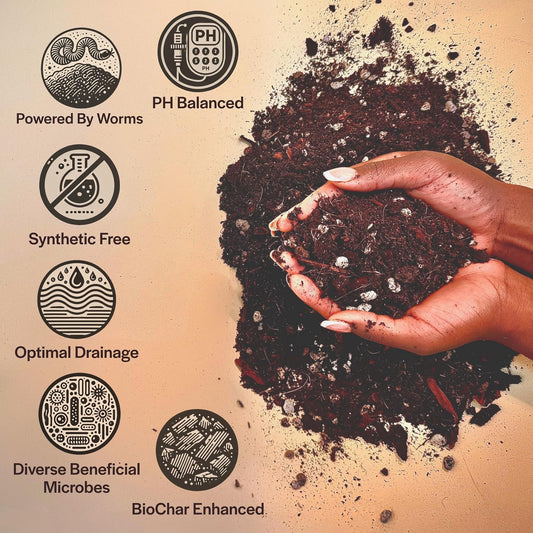 Craft Aroid Potting Mix- Elite Organic Alocasia, Philodendron, Monstera Soil Mix, Chunky, Well Draining Potting Soil for Indoor Plants, All Tropical Plants & Houseplants, Perlite & Peat Free 2QT
